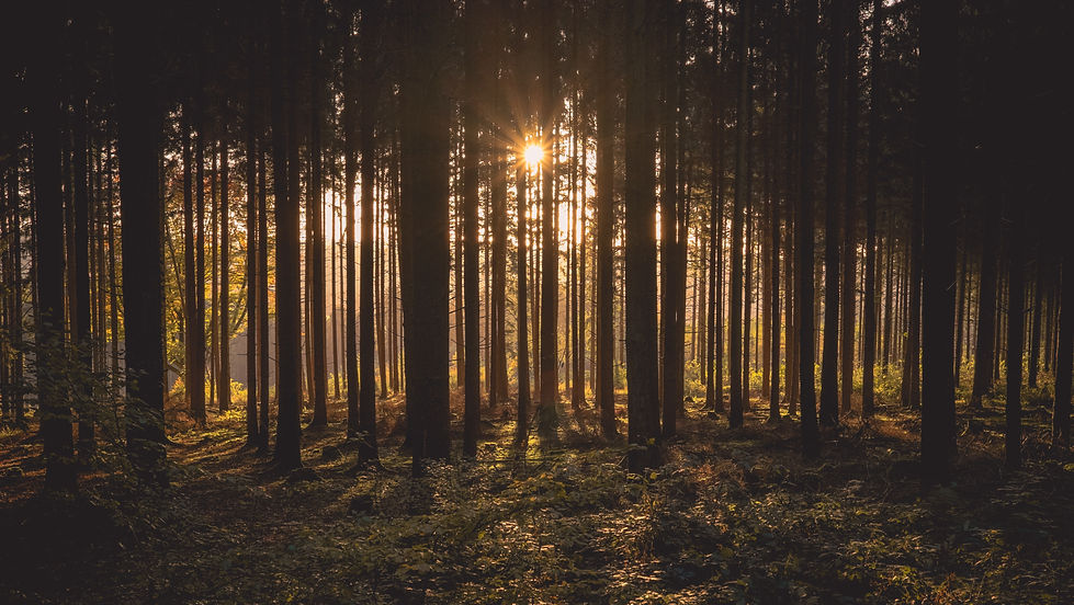 StressCoaching (1)