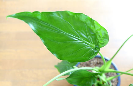 ～安全対策も万全～