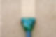 Carpet and vacuum