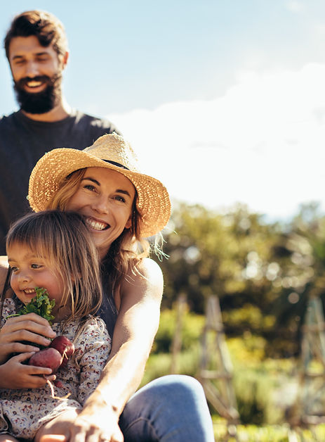 Consórcio imobiliário Zema para comprar casa na planta com consultoria gratuita