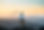 Paysage