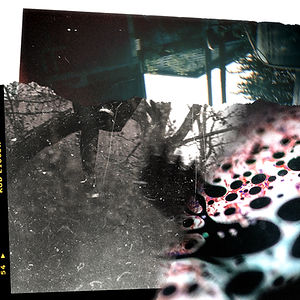 Reflection Collage