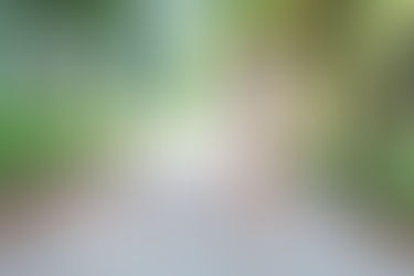 「ウォーキング」 (文:陽子)