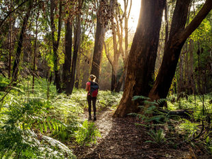 Ditch the Pills: Your Doctor's New Rx Might Be Wildly Wonderful!