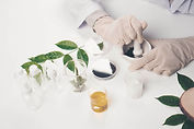 Montaje del experimento de laboratorio