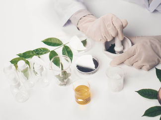 Symrise launches Mindera® Euca bringing plant-based product protection to rinse-off formulations