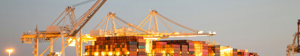 Container Ship Docked