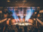 Concert Performance Scene