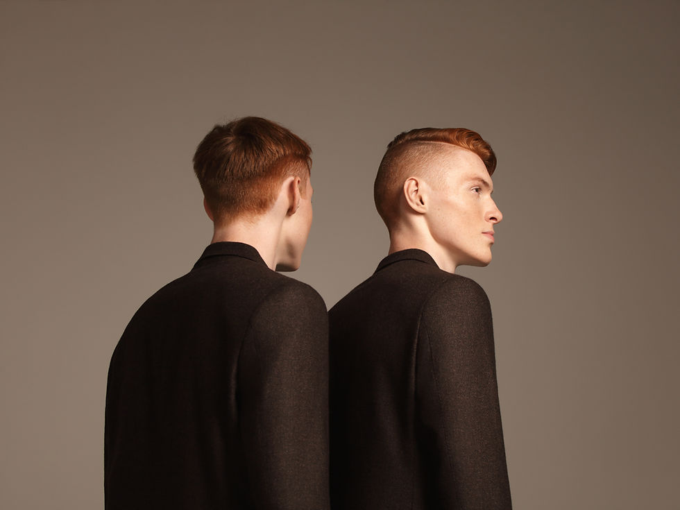 Ginger Twins