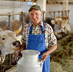 Dairy Farming