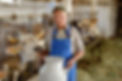 Dairy Farming