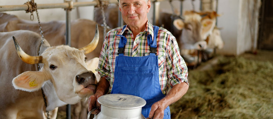 Boosting Dairy Farm Revenue with CheeseProKit and Expert Consulting