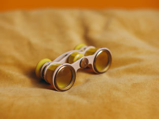 Het land dat evalueert, maar niet leert