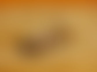 Editorial April 1st 2022