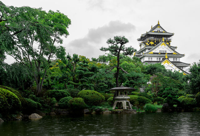 Kyoto japan green garden