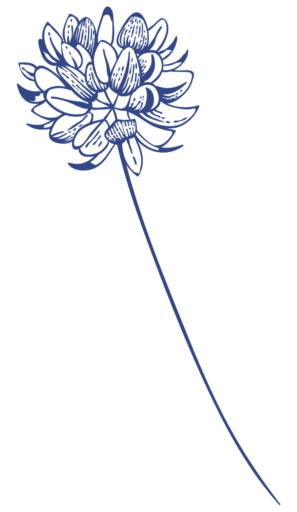 Blue Flower Silhouette