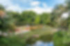 Beautiful Park
