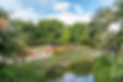 Beautiful Park