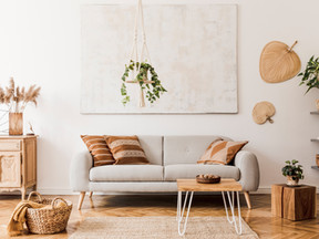 Neo-Alaskan Living Room