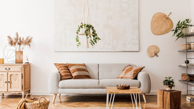 Stylish living room with beige sofa and plants