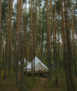 Tents in Forest