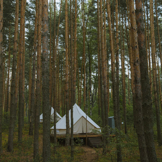 The Real Cost of Going Off-Grid for Agriculture