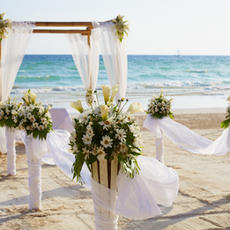 Modern Beach Wedding