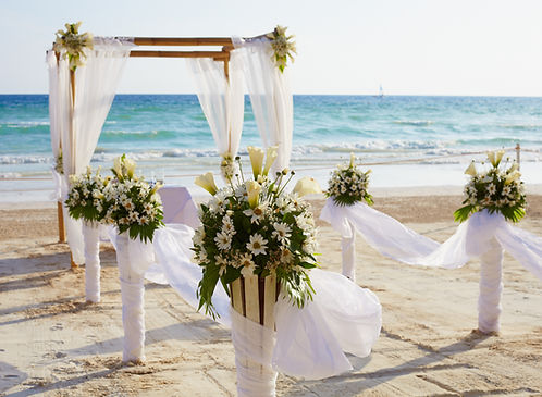 Beach Wedding Setup