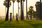 Atoreia hotel template - Balinese local landscape