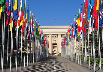 Flags in a row