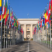 探索西班牙语世界:西班牙语国家指南