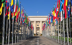 Flags in a row