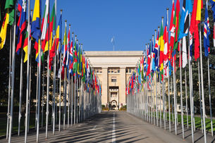 Where should I file my international trademark?