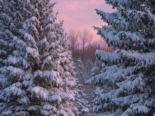 ROBO: Special Update 1-27-26