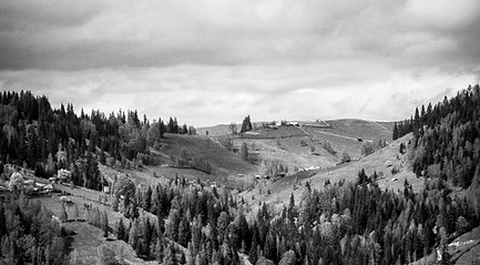 Black and White Landscape