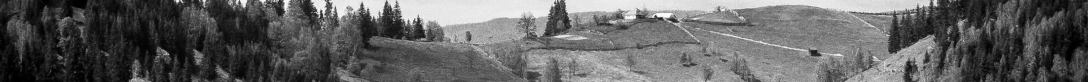 Black and White Landscape