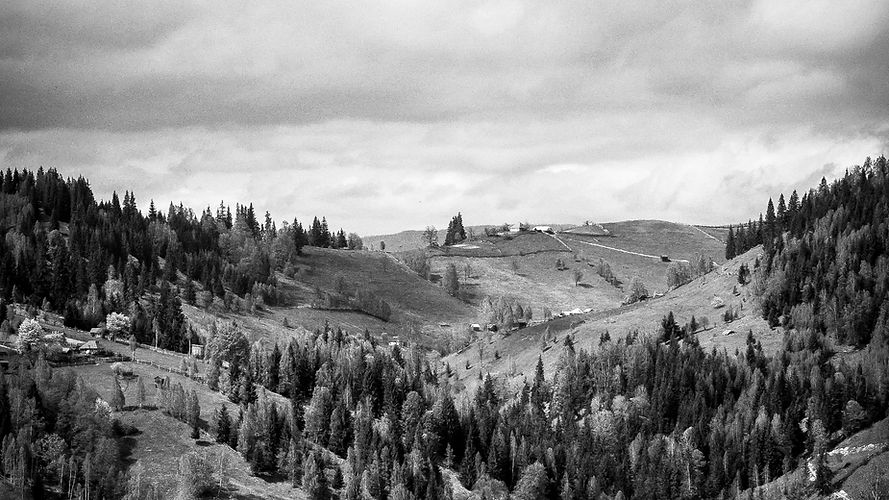 Black and White Landscape