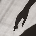 Hand Shadow