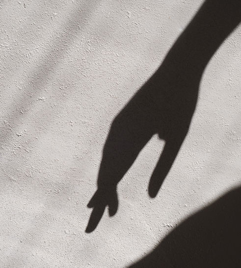Hand Shadow