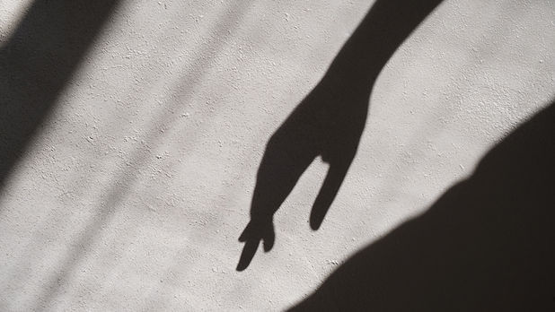 Hand Shadow