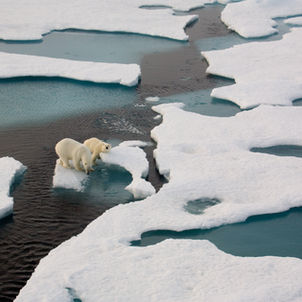 How Car Emissions are the Main Culprit for Climate Change