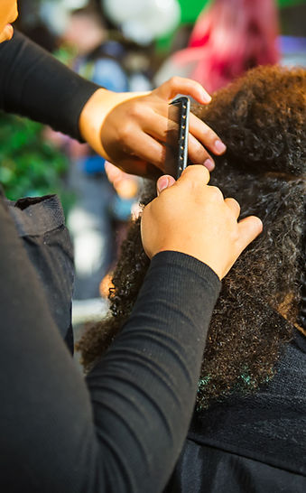 Professional Hair Braids