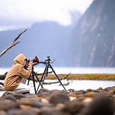 Nature photography setup