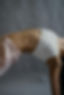 Posture de yoga en flexion arrière