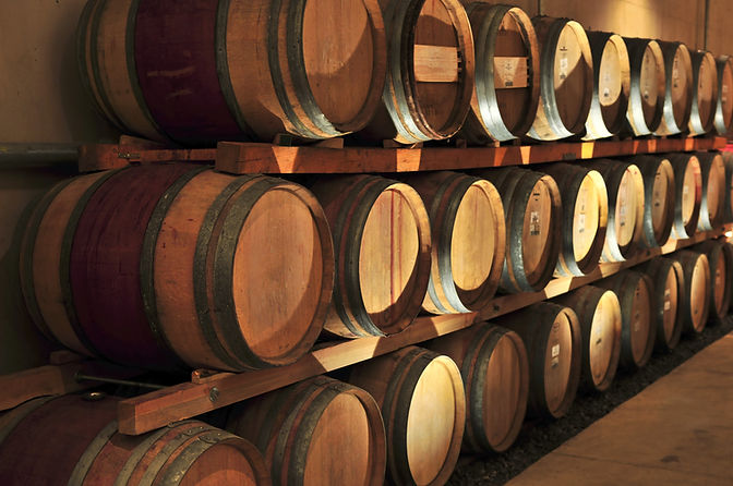Barrels of red Italian wine