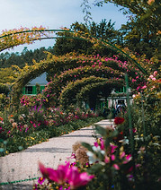 A Path in the Garden