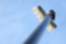 Upward view of a water-fed brush against a clear blue sky