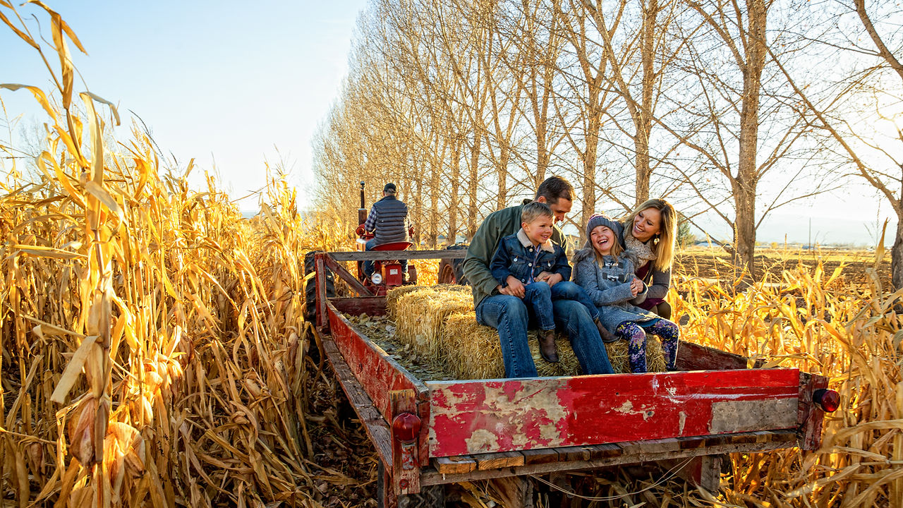 Opa fährt glückliche Familie auf einem Anhänger über ein Feld