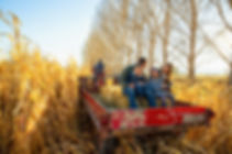 Family Hayride