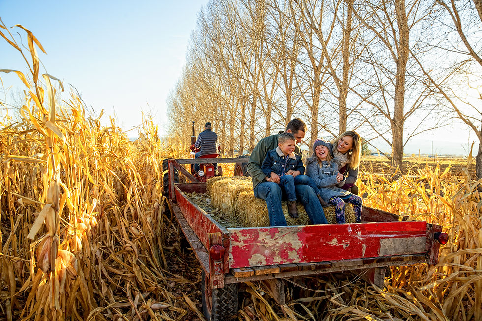 Family Hayride